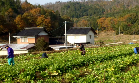 農業組合法人　清流の郷　泉